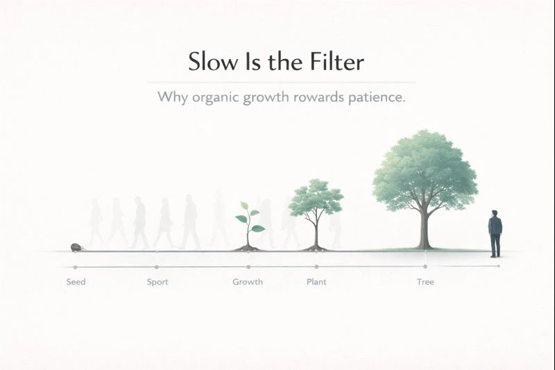 slower is the filter, organic growth towards patience